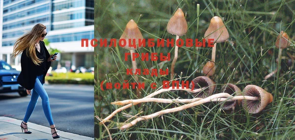 мет Абдулино
