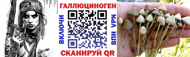 Галлюциногенные грибы прущие грибы где найти Мамадыш
